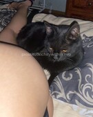 Анкета проститутки Полина - метро Красносельский, возраст - 25